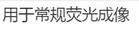 ����ͨ��ӫ����� a.jpg