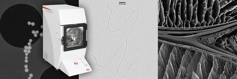 EM ACE600 ͼ�����