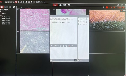 1739436366174125