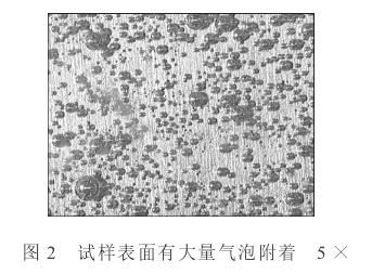 145250HN-1 【行业利用】徕卡M205C体视显微镜技术在铝合金侵蚀钻研中的利用
